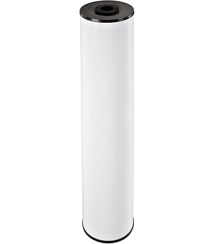 CFS (6) - Cartucho de filtro resistente compatible con American Plumber WRC25HD20 (20.0 in