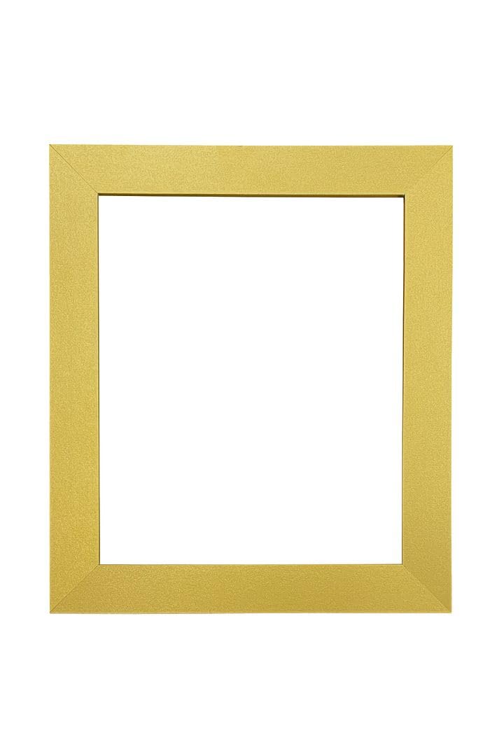 FRAMES BY POST Metro Picture Photo Frame Gold 21 x 10 Inch Plastic Glass