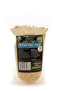 Amazon.com : White Oat Seed by Eretz - Willamette Valley, Oregon Grown