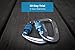 Serac #1 Ultra Strength Locking Carabiners x2 (up to 5KN, That's 1100 lbs of Force!) Perfect Classic Single or Sequoia Double hammocks - Made from Ultralight Aircraft Grade Aluminum - Blue