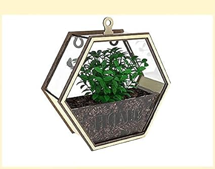 HUEX Wall Hanging Hexagon Shape Pot Planter for Flower Storage Basket Plant Stand for Balcony Living Room Outdoor Indoor Plant Holder Home Decor Wall Bucket for Indoor or Outdoor Balcony Patio