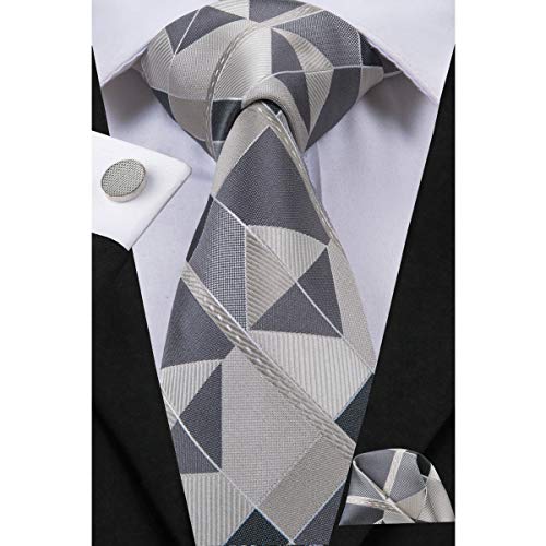 Dubulle Silk Ties for Men Fashion Plaid Tie with Gift Set (New Style C6)