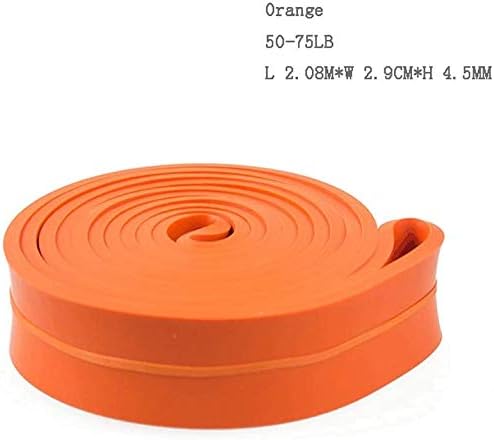 Exercise Bands Pull up Assist Band Exercise, Resistance Bands, for Workout Body Stretch Powerlifting Yoga Pilates Home