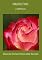Livro Marketing