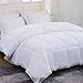 OHAPPES Queen/Full Comforter Soft Goose Down Alternative Duvet Insert for Winter, 8 Corner Loops, Warm Fluffy All Season Hotel Collection, 88 X 88 Inches, White