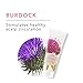 100% PURE Burdock & Neem Healthy Scalp Clarifying Shampoo Moisturizing Detox with Rose Hydrosol Replenishing Cleanser for Dry, Itchy, Flaky Scalp for Women & Men - 8 Fl Oz