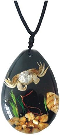 WGI Real Crab, Seashells and Underwater Plant Life on Black Background Necklace