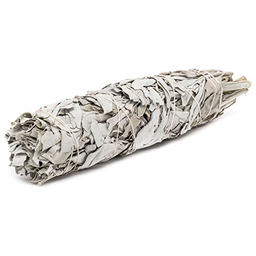 2 Pack - Medium California White Sage Smudge Sticks, Each Stick Approximately 6 Inches Long - Made in USA.
