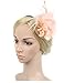 Cizoe Fascinators Hat for Women Tea Party Headband Kentucky Derby Wedding Cocktail Flower Mesh Feathers Hair Clip (B-Peach)