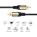 CableCreation 10FT Optical Audio Cable, Toslink Cable Male to Male Digital Optical Audio Cable with Gold-Plated Connector for Home Theater, Sound Bar, VD/CD Player, Blu-ray Players &More