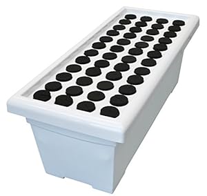 Amazon.com : Botanicare HSCL48 48 Plant Clone Machine ...