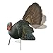 Primos Hunting Killer B Full Strut Turkey Decoy – Moveable Fan, 90 ft Pull Rope & Iridescent Colors Gives Lifelike Appearance, Lightweight & Mobile Turkey Hunting Decoy