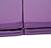 Soozier PU Leather Gymnastics Tumbling/Martial Arts Folding Mat, Purple, 4 x 8' x 2