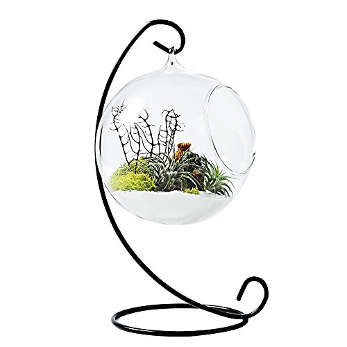 Mkono glass vase plant terrarium with metal stand, 1 globe