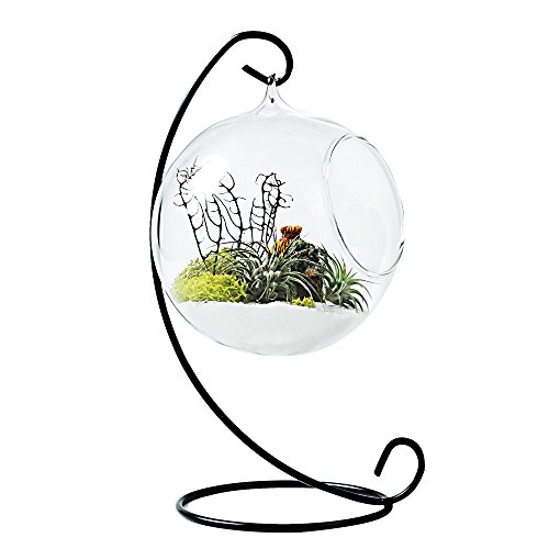 Mkono Glass Vase Plant Terrarium with Metal Stand, 1 Globe