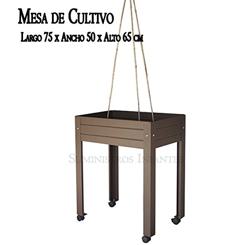 MESA DE CULTIVO COMPLETA Lacada marrón. Medidas: Largo 75cm x ...