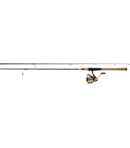 Amazon.com : Daiwa Revros LT Freshwater Spinning Fishing Rod and