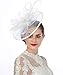 Lucky Leaf Women Girl Fascinators with Hair Clip Hairpin Hat Bowknot Feather Flower Veil Cocktail Wedding Tea Party Hat (8-White)