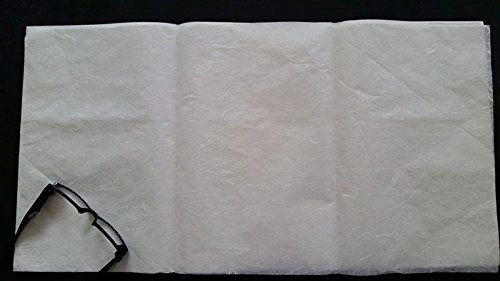 10 Sheets of Dragon Clouds Thin Mulberry Paper #2B 13.5"x26" 23gsm