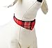 PUPTECK Bandana Style Leather Dog Collar Cute Plaid Scarf for Small Pet, Extra Small