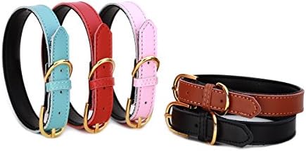 Petween Basic Classic Padded Leather Pet Collars for Cats Puppy Small Medium Dogs