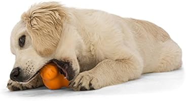 interactive treat dispensing dog toys