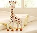 Vulli Sophie the Giraffe Teether and Book Bundle