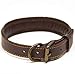 Logical Leather Padded Dog Collar - Best Full Grain Heavy Duty Genuine Leather Collar - Brown - Medium