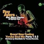 ブランド・ニュー・フィーリング(ヨルバ・ソウル・リミクシーズ) [Analog]