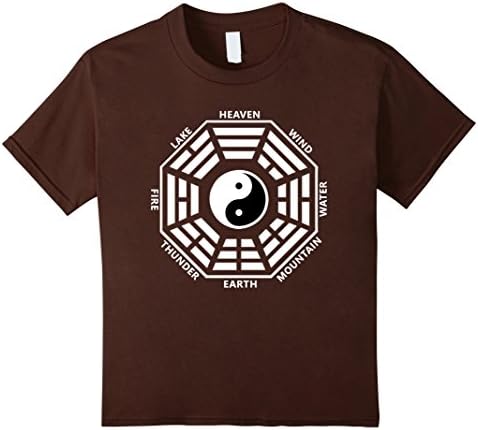 Kids Tai Chi Yin Yang Fu Xi Bagua t-shirt 6 Brown