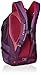 Osprey Packs Perigee Daypack, Mariposa Purple