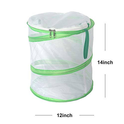 1 Trasfit+Pop+up+Butterfly+Habitat+Terrarium