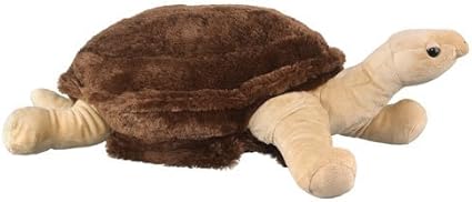 plush tortoise