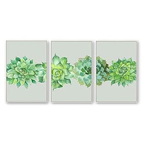Framed Canvas Wall Art for Living Room, Bedroom Beautiful Plants Cactus Canvas Prints for Home Decoration Ready to Hanging - 16"x24"x3 Panels
