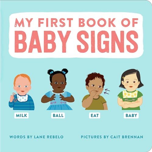 Amazon.com: Baby Sign Language Flash Cards: A Deck of 50 American