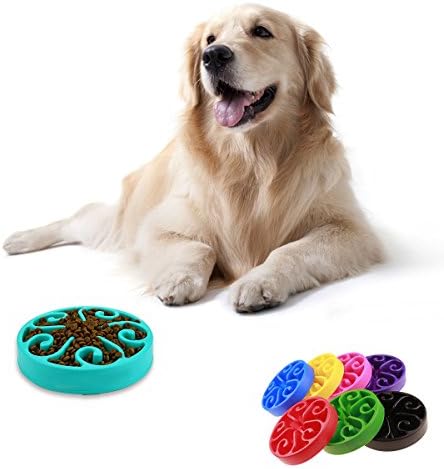 Dog Cat Slow Eating Feeder Pet Bowl Anti choking Water Food Container, Black