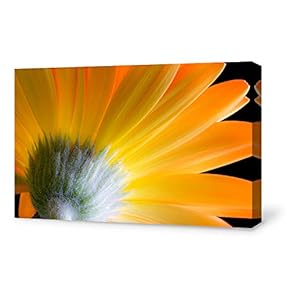 SIGNFORD Canvas Wall Art for Living Room,Bedroom Home...