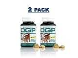 American BioSciences DGP Joint Support for Pets All Natural Formula - 60 Chewable Tablets (2-Pack)