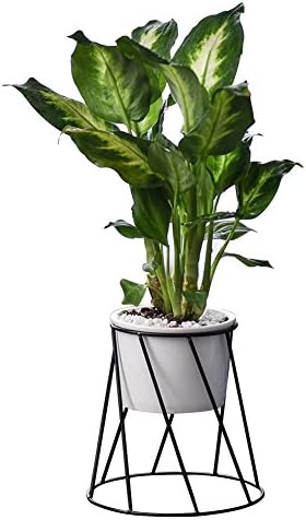 Golden/ Black Geometric Desktop Simple Iron Art Rack Stand Innovative with White/ Black Ceramic Flower Pot Succulent Planter Container Vase for Indoor and Outdoor Decoration (white pot + black frame)
