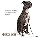 Logical Leather 6 Foot Dog Leash - Best for Training - Best Water Resistant Heavy Full Grain Leather Lead - Brown