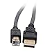 Cables To Go 5M USB 2.0 A/B Cable Ultima