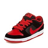 Nike DUNK LOW PRO SB Mens Sneakers 304292-039
