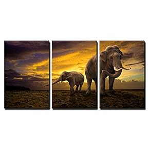 Elephants Family on Sunset x3 Panels