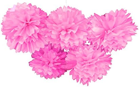 Daisy Cooper Tissue Paper Party Pom Pom Decoration Hot Pink, 16-inch Set of 5