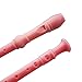 Kasteco 2 Pack German Style 8 Hole-3 Piece Descant Soprano Recorders with Cleaning Rod, Black Storage Bag, ABS Material, 2 Colors, Blue and Pink
