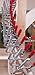 Bessey GS20 Screw Clamp 
