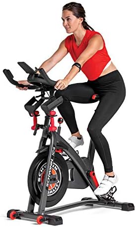 schwinn spin bike shoes