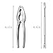 iRunning 10 Pieces Seafood Tools Nut Cracker Set with 4 Heavy Duty Lobster Crab Crackers and 6 Seafood Forks