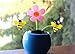 Solar Dancing Flower with Bumble Bees - by Home-X