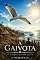 Livro A Gaivota: O Tributo dos Céus